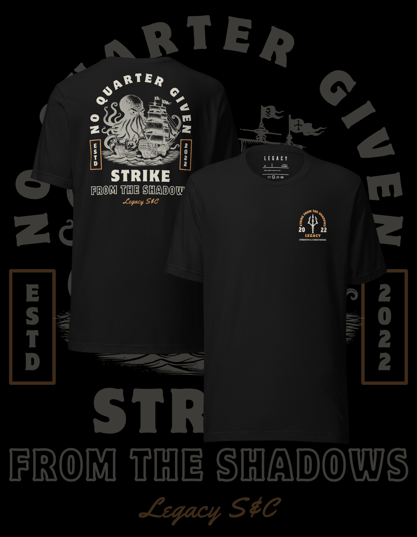 Strike From The Shadows